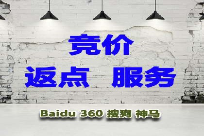 SEM推广实战：成功案例剖析